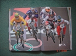 Quality_racing_at_the_2008_BMX_Olympics_Strombergs_leading
